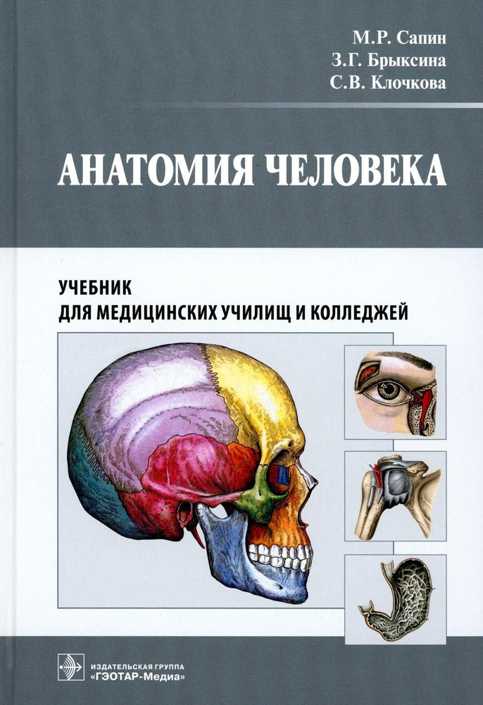 Анатомия человека: Учебник для медицинских училищ и колледжей | Брыксина Зинаида Глебовна, Сапин Михаил #1