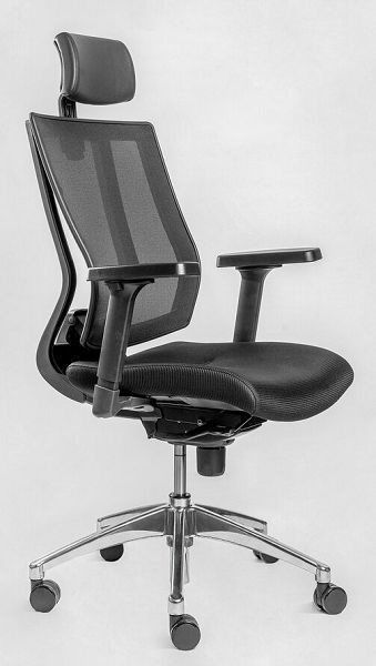 Эргономичное офисное кресло Falto Promax #1