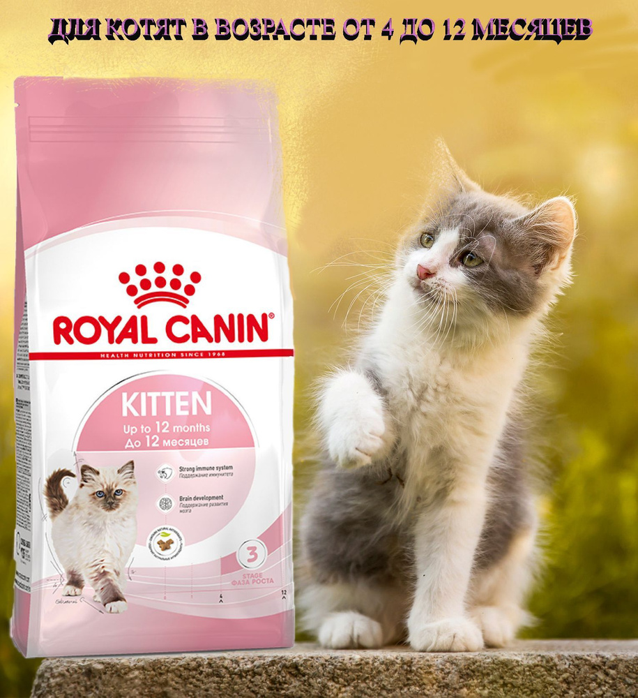 Royal Canin Kitten / Сухой корм Роял Канин Киттен для Котят в возрасте от 4 до 12 месяцев 4 кг  #1