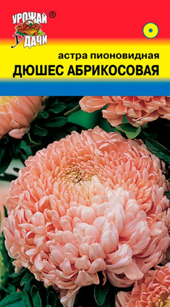 Астра пионовидная ДЮШЕС АБРИКОСОВАЯ (Семена УРОЖАЙ УДАЧИ, 0,3 г семян в упаковке)  #1