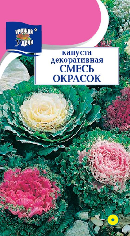 Капуста ДЕКОРАТИВНАЯ СМЕСЬ окрасок (Семена УРОЖАЙ УДАЧИ, 0,2 г семян в упаковке)  #1