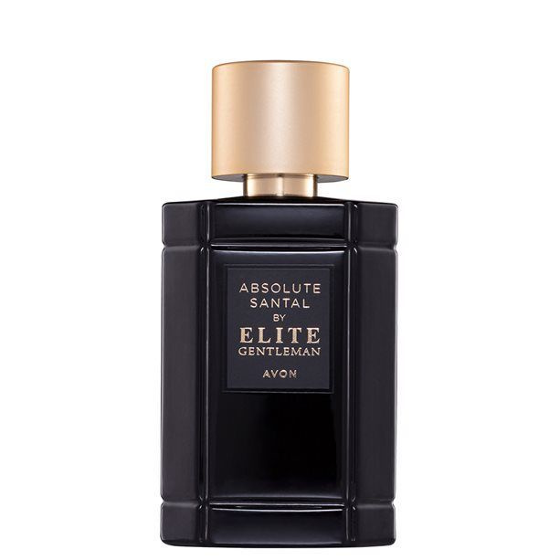 Туалетная вода Absolute Santal by Elite Gentleman мужской ,50 мл #1