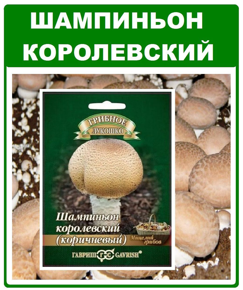 Грибы Шампиньон королевский коричневый мицелий грибов в субстрате 15мл Гавриш  #1