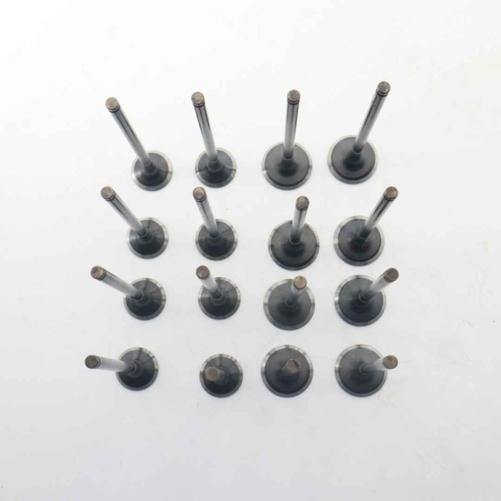 16 Шт Впускных и выпускных клапанов для BYD 473QA 1003047 473QA ...
