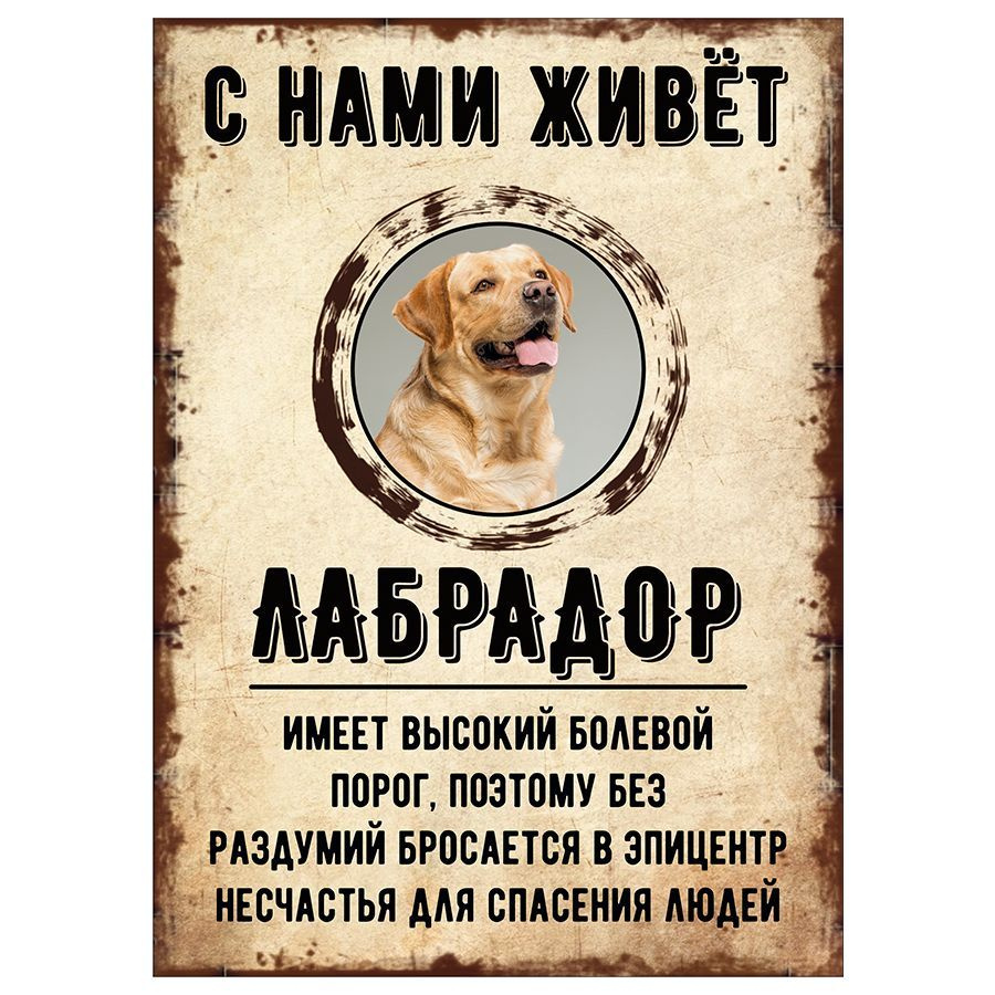 Табличка, декоративная, DANGER DOG, С нами живет Лабрадор, 18см х 25см  #1