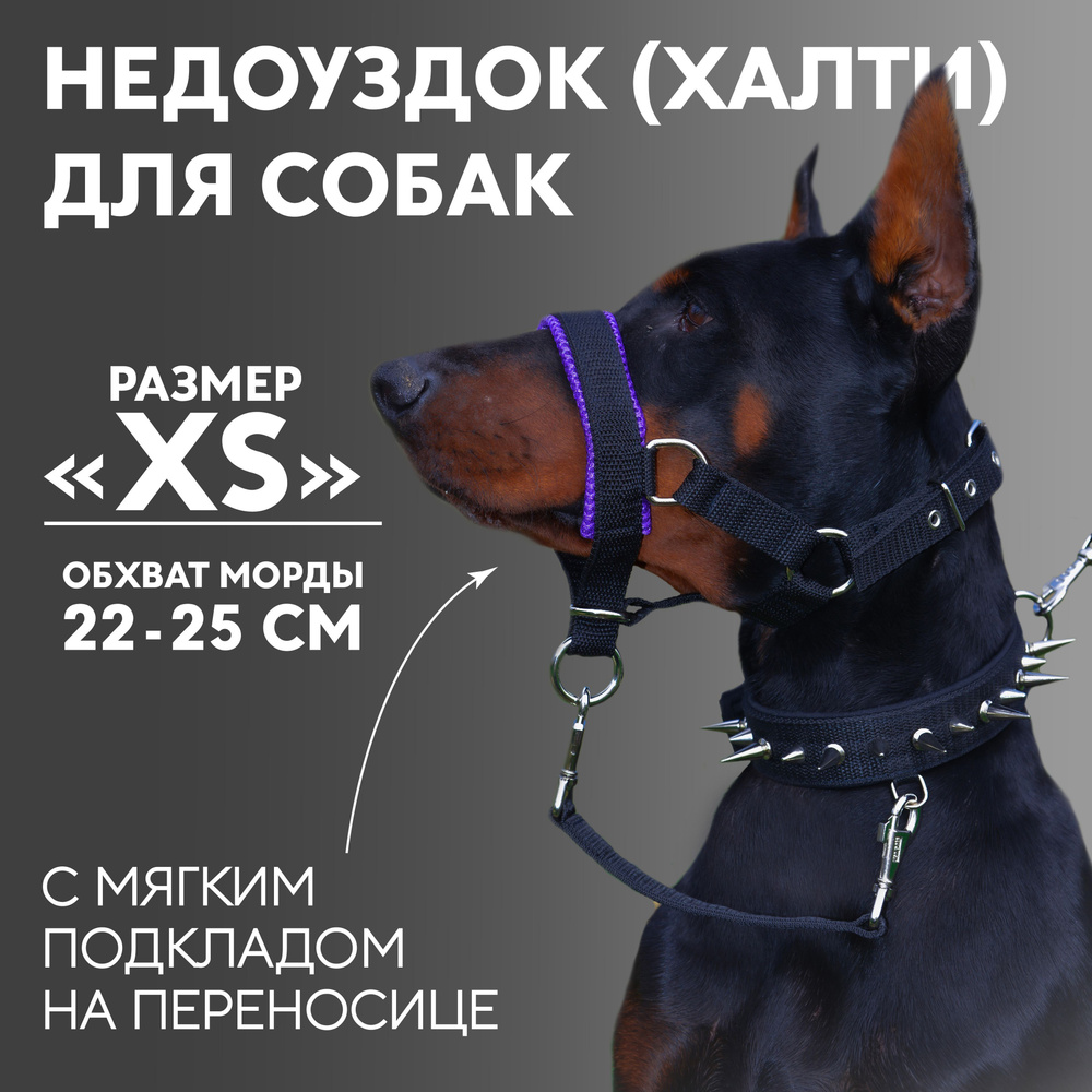 Недоуздок(халти) TESLA COLLAR для собак "XS" с фиолетовым подкладом  #1