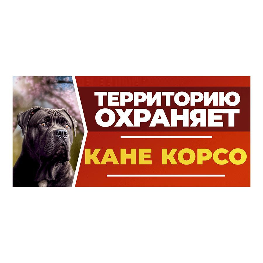 Табличка, DANGER DOG, Кане корсо, на забор, 30см х 14см #1