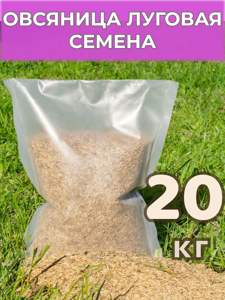 Овсяница луговая семена 20 кг / газон #1