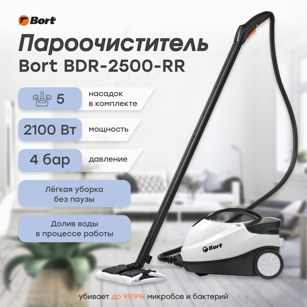 Пароочиститель Bort BDR-2500-RR, бирюзовый, 2200 Вт, Вертикальное  отпаривание, Дозалив воды, Защита от накипи купить по низкой цене с  доставкой в интернет-магазине OZON (147947808)