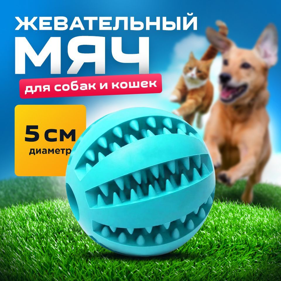 Мяч для собак голубой 5 см/для чистки зубов /развивающая жевательная игрушка для мелких и средних пород #1