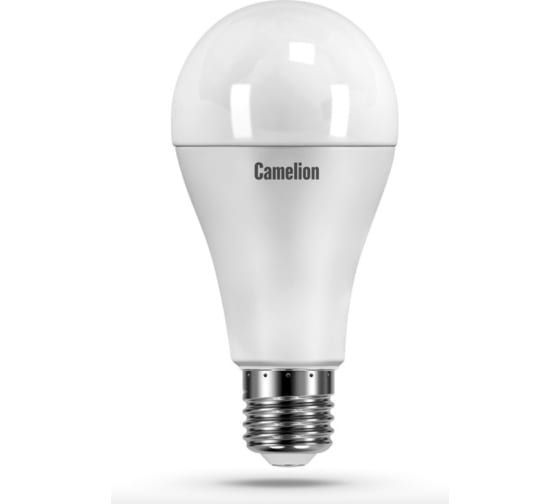 Camelion Лампочка Лампа светодиодная, Холодный белый свет, E27, 13 Вт, Светодиодная, 1 шт.  #1