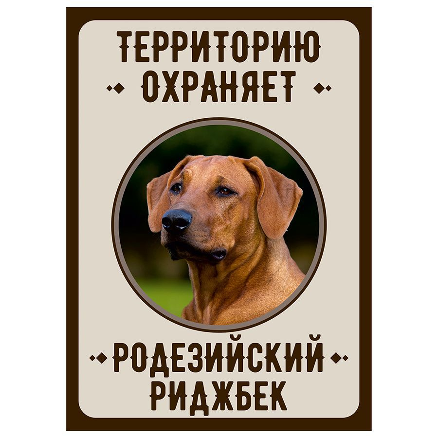Табличка, Злая собака, Территорию охраняет Родезийский риджбек, на металлической основе, 18см х 25 см, #1