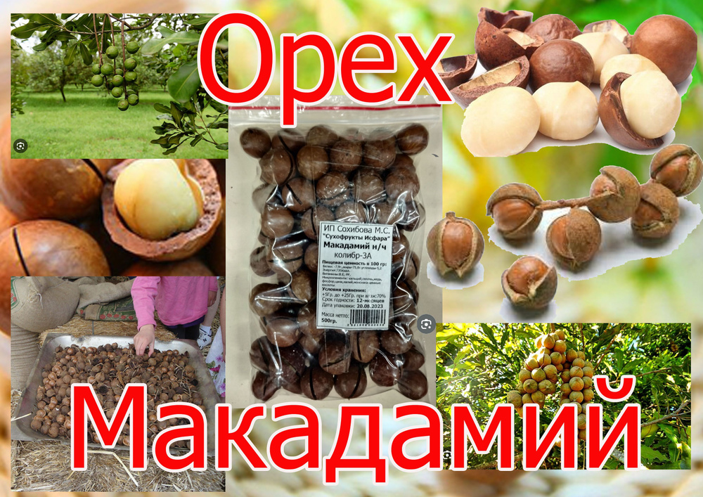 Макадамия орех в скорлупе(новй урожай)колибр 3А #1