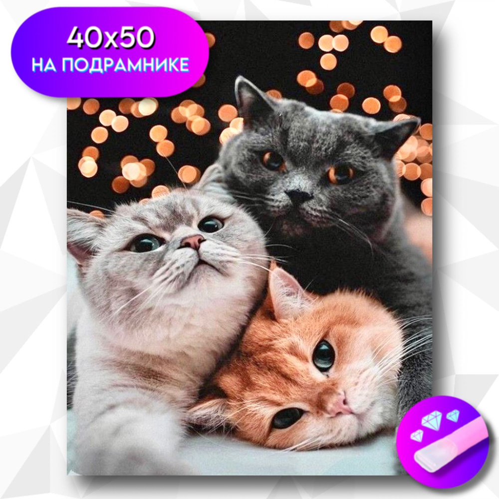 Алмазная мозаика на подрамнике "Три кота" 40х50 см. Товар уцененный  #1