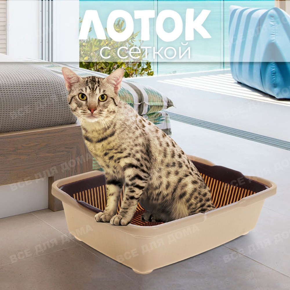 ВСЕ ДЛЯ ДОМА / Лоток для кошек и котов с сеткой и бортом. Большой кошачий туалет с решеткой и высокими #1