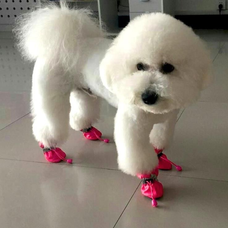 Непромокаемые ботинки для собак/обувь для собак мелких и средних пород, размер 4 (5 см) цвет розовый #1