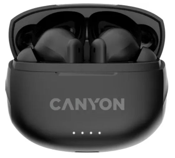 Беспроводные bluetooth наушники Canyon TWS-8 (DF1CNSTWS8B) Черный #1