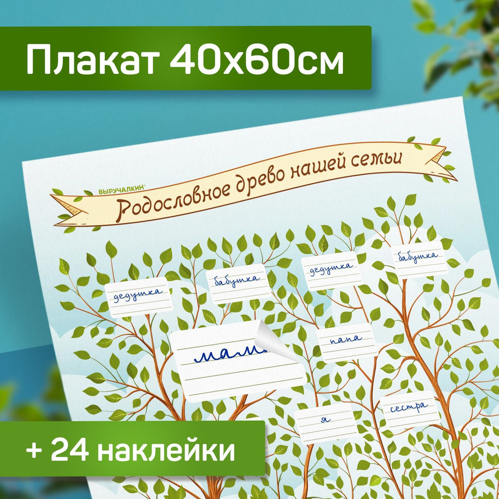 Плакат Родословное древо с наклейками. Выручалкин. #1