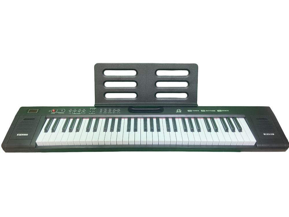 Синтезатор 61 клавиша( любительский) #1