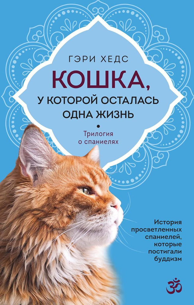 Кошка, у которой осталась одна жизнь #1