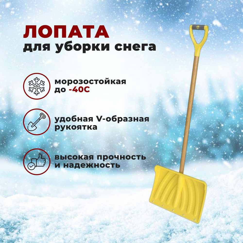 Калатея Лопата для уборки снега #1