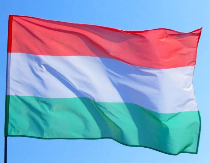 Флаг Венгрии 80х120 см с люверсами #1