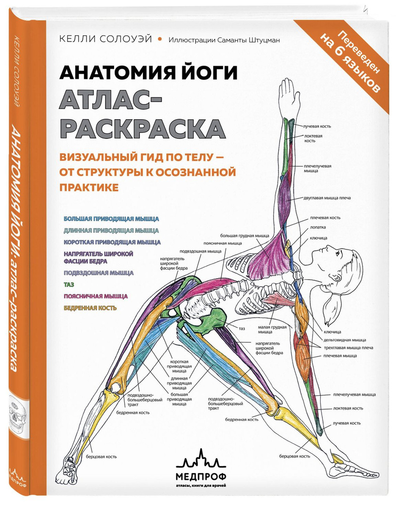 Анатомия йоги. Атлас-раскраска. Визуальный гид по телу от структуры к осознанной практике | Солоуэй Келли #1