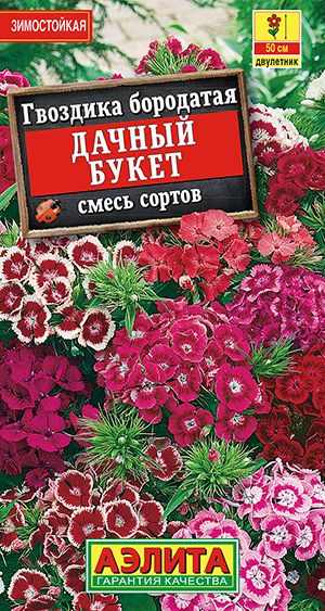 Гвоздика "Дачный букет, смесь сортов" семена цветов Аэлита, 0,3 гр  #1