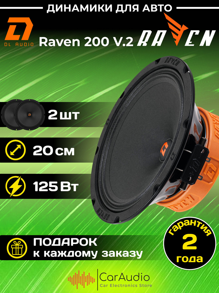 Динамики DL Audio Raven 200 V.2 20см 8" громкая, эстрадная #1