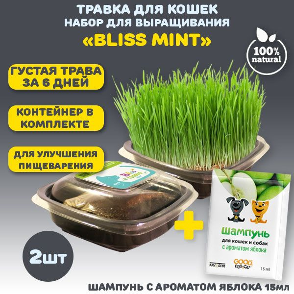 Трава для кошек, собак и других животных Bliss "Mint" семена для проращивания в лотке 2 шт + шампунь #1