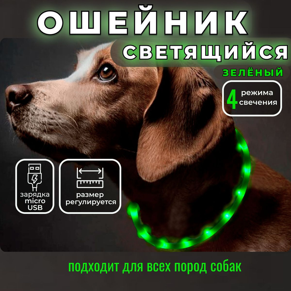 Светящийся ошейник для собак крупных, средних и мелких пород, обхватом ...