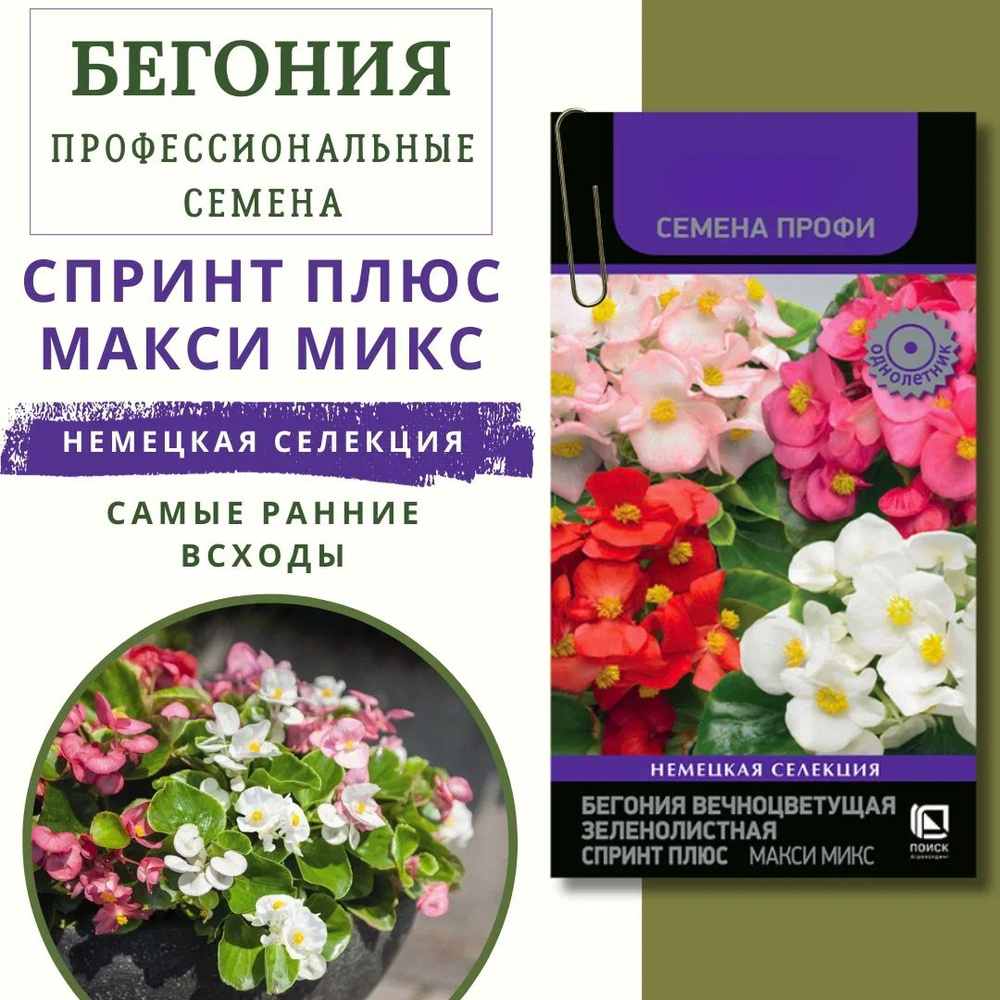 Бегония вечноцветущая "Спринт Плюс Макси Микс" 10 ШТ. семян, семена цветов на рассаду, семена цветов #1