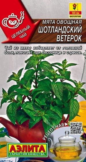 МЯТА ОВОЩНАЯ Шотландский ветерок. Семена. Вес 0,03 гр. Мята перечная. Аэлита.  #1