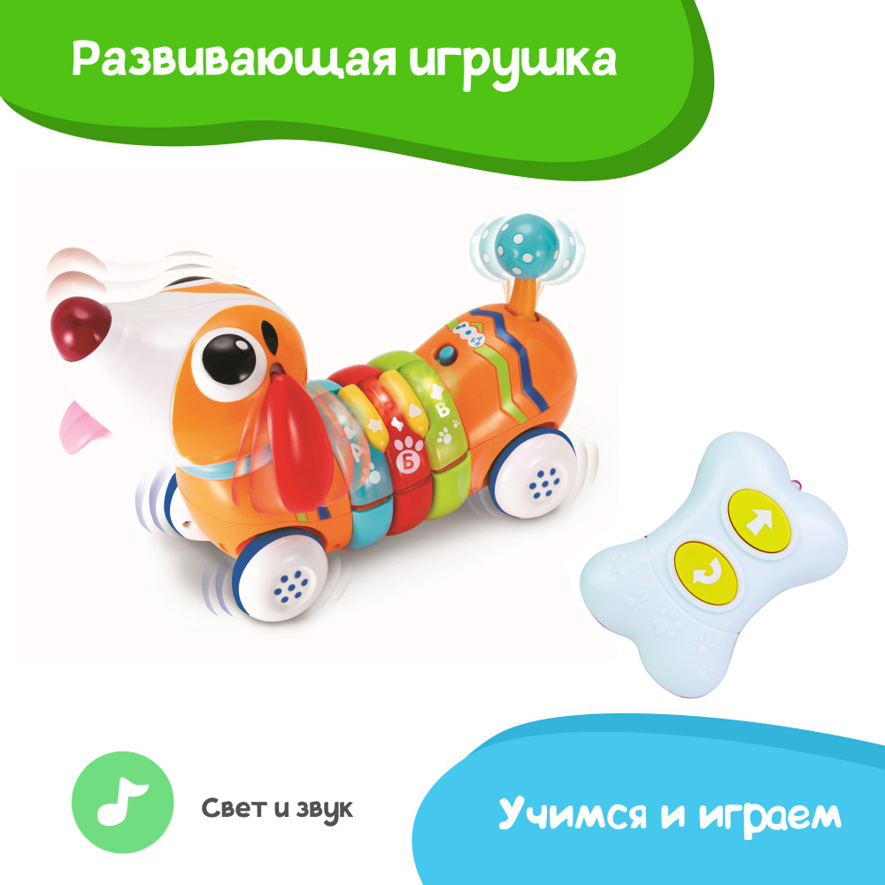 Развивающая игрушка Winfun Собака такса Звуковые и световые эффекты, учимся и играем  #1