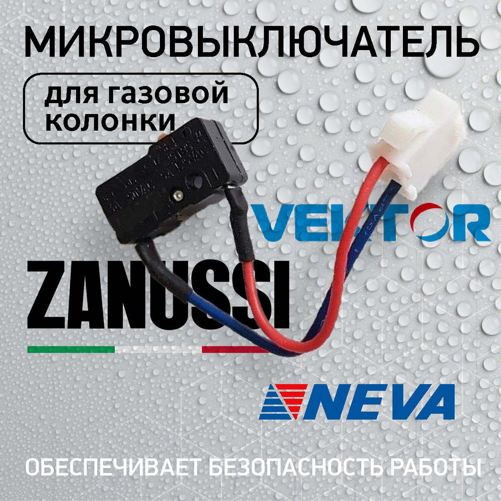 Микровыключатель ВПГ NEVA 4510М, Vektor, ZANUSSI GWH 10 Fonte #1