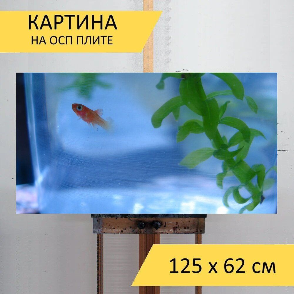 LotsPrints Картина "Рыбы, домашний питомец, золотая рыбка 77", 125 х 62 см  #1