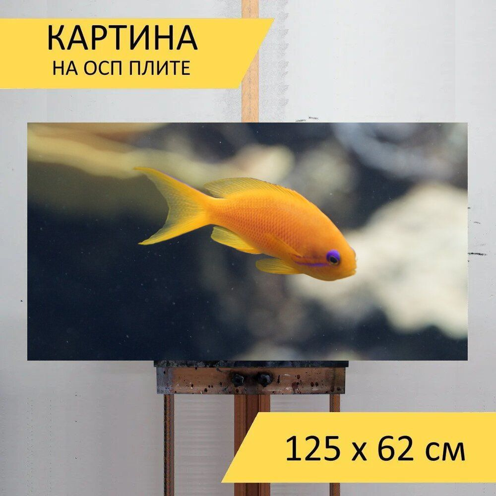 LotsPrints Картина "Рыбы, апельсин, фиолетовый 06", 125  х 62 см #1