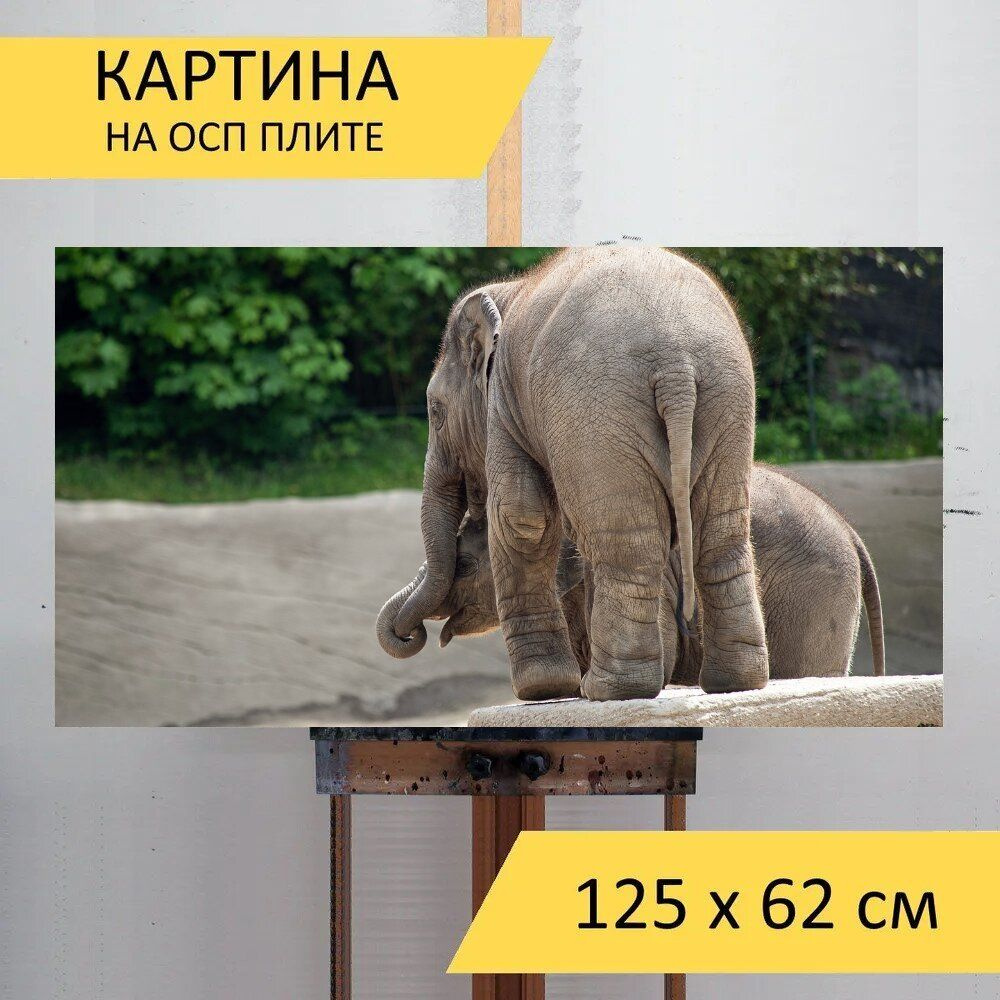 LotsPrints Картина "Слон, млекопитающее, животное 53", 125 х 62 см  #1
