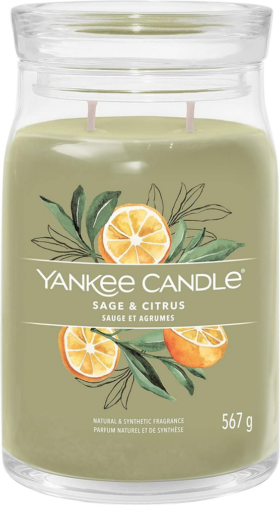 Yankee Candle Свеча ароматическая "Шалфей и цитрус", 16 см х 9 см, 1 шт  #1