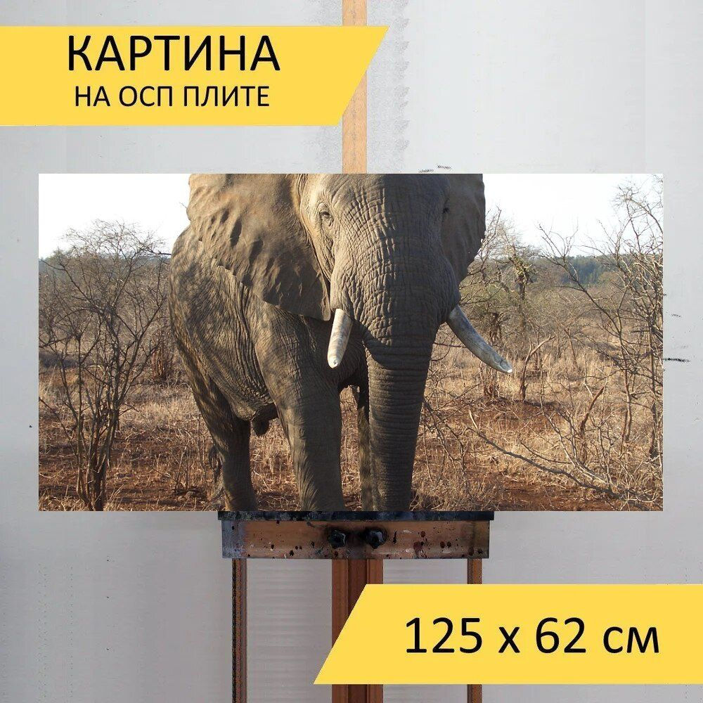 LotsPrints Картина "Слон, бивни, ствол 25", 125  х 62 см #1