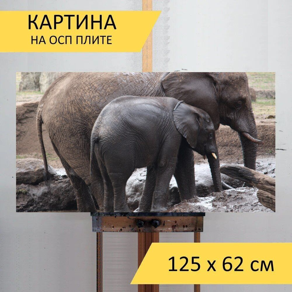 LotsPrints Картина "Слон, слоненка, дикий 67", 125  х 62 см #1