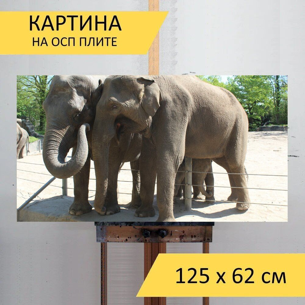 LotsPrints Картина "Слон, гамбург, хагенбек 96", 125  х 62 см #1