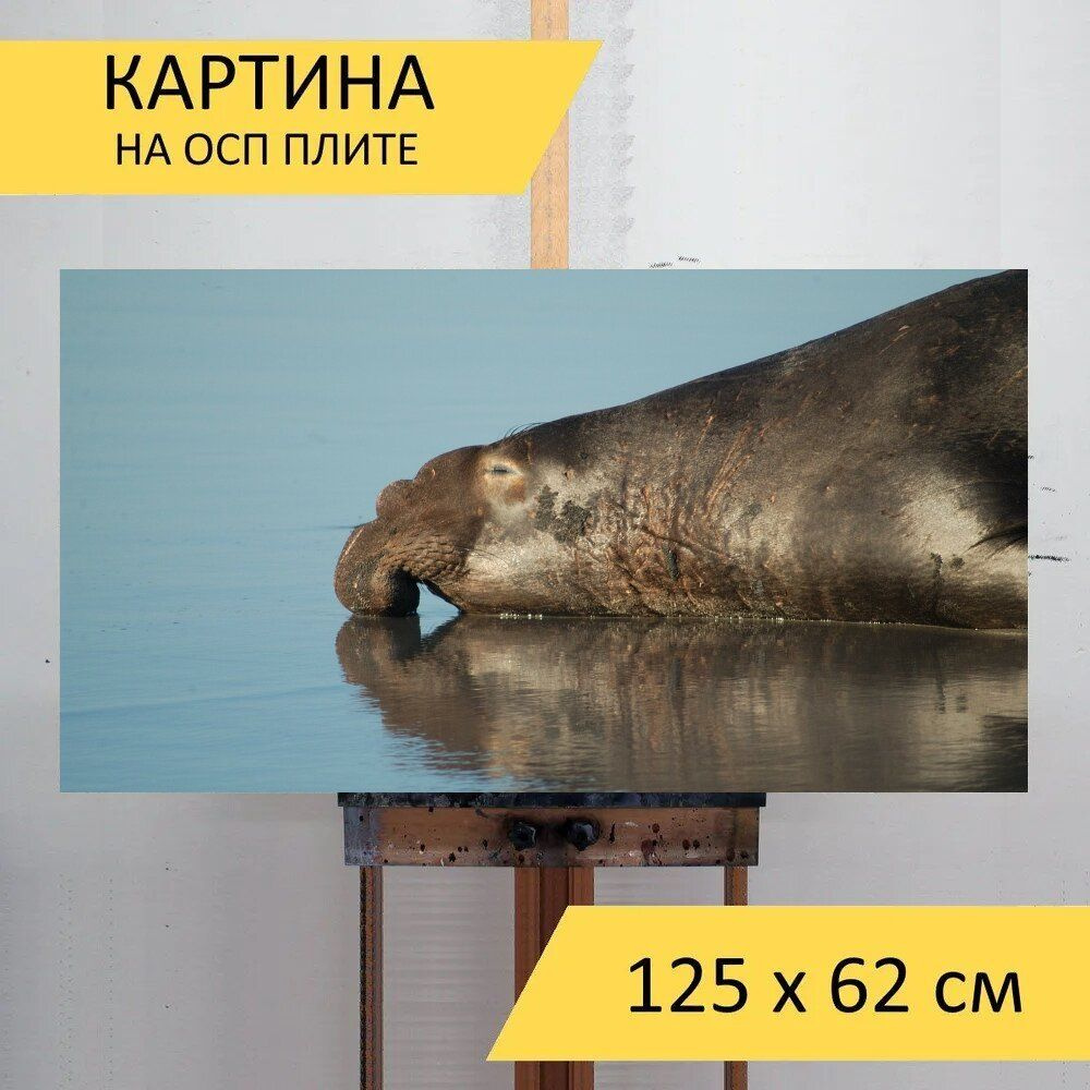 LotsPrints Картина "Слон, млекопитающее, пляж 24", 125  х 62 см #1