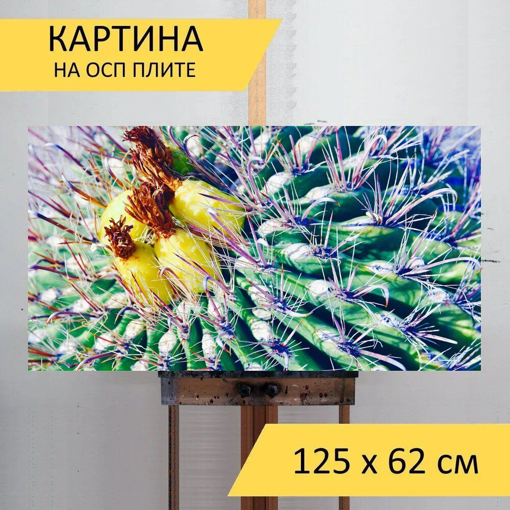 LotsPrints Картина "Кактус, пустыня, завод 23", 125  х 62 см #1