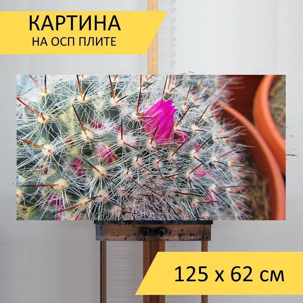 LotsPrints Картина "Кактус, шипы, растения 84", 125  х 62 см #1