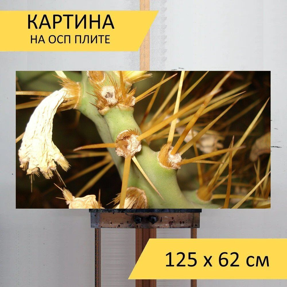 LotsPrints Картина "Кактус, цветок, кактусы 13", 125  х 62 см #1