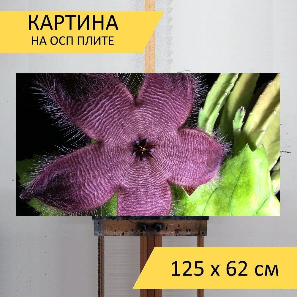 LotsPrints Картина "Кактус, цветок пушистый, цветущий кактус 01", 125 х 62 см  #1