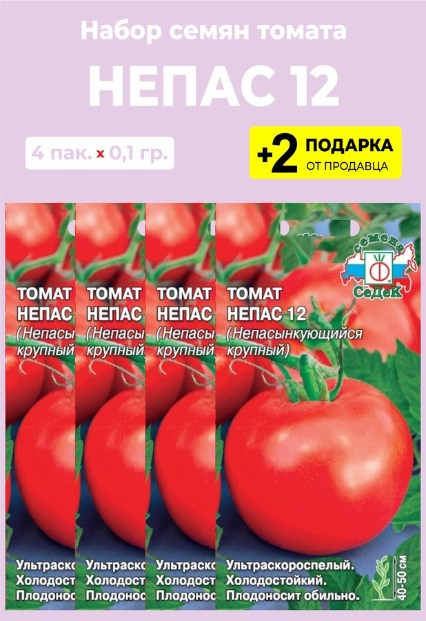 Томат непас 6. Томат Непас 14. Помидоры непас4 оранжевые Сносиком фирма СЕДЕК. Томат Непас 10 (Непасынкующийся полосатый). Непас 12.