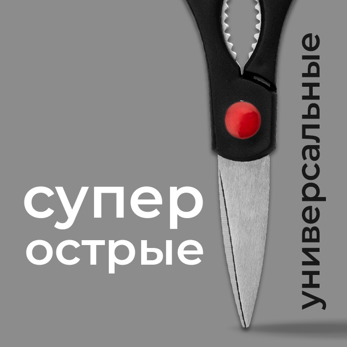 Текстовое описание изображения