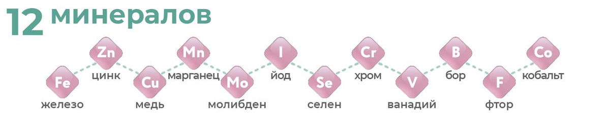 Текстовое описание изображения